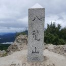 마산 팔용산(328m)~산호공원 꽃무릇축제 이미지