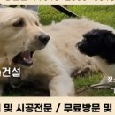 귀소농장 이미지