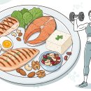 근육 손실 예방 단백질 섭취 이미지