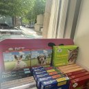 여의도동물약국 이미지