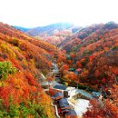 민주지산자연휴양림 이미지