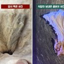제주식당 - 도봉구 | 제주식당