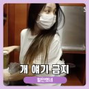 영식농장 이미지