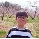 우리들과수원