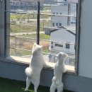 루이야 놀고 자고 GO 이미지