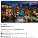 31 | 롯데호텔 부산 마스코트 폴루아와 벨루오 캐릭터 객실 오픈 기념 패키지 (2026년 12월 31일까지)