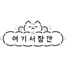 샌디담 이미지