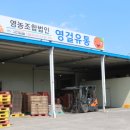 법인우리감귤