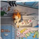 꽃과호수어린이집 이미지