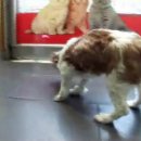 안방농장2 이미지