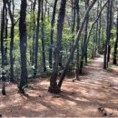 공원구역 이미지