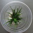 정곡중학교 이미지