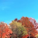 경산초교 | BE LOCAL WEEK 청주 단풍놀이 명소 여행