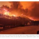 동아동물병원 이미지