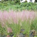 주암동농장 이미지