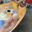 EG투어버스 C코스 | [후쿠오카] 유유버스투어 B코스 얼리 유후인 내돈내산 후기