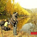 은행1리 이미지