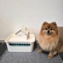 신성환경 | 환기 어려운 날 실내 공기 관리에 좋은 신성환경 공기청정기 실사용후기