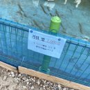 올라알파카 카페 | [화순 올라 알파카] 광주 근교 애견 동반 카페 후기 (메뉴, 위치, 가격, 주차)