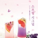 토프레소 이미지