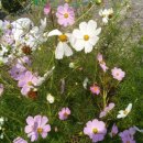 한림정가든 이미지