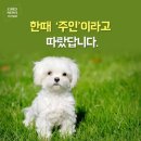 없음 네이버블로그