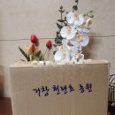 거창 천년초 농원