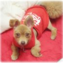 마음이 따뜻한 우리 회원님들 (special Thanks to 햇살행운맘님) 이미지