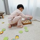 투래빗잉글리시 | 24개월아기 블루래빗 아이큐베이비 집콕육아 어렵지않아요
