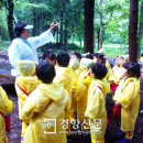 숲유치원