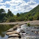 신성농장 이미지