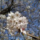 의왕군포로 이미지