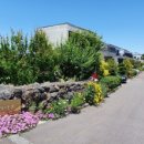 선흘초등학교 이미지