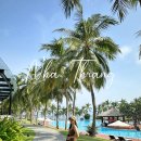 플라밍고당구장 | 나트랑 빈펄 리조트 가족여행 숙소 추천, 워터파크 수영장 조식 디너 뷔페 후기 ♥