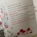 요술램프 | 유아 책 추천 해외명작 전집 아람 요술램프 개봉기와 솔직후기