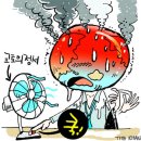 채널교토
