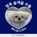 언제나동물병원 이미지