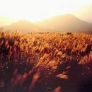 화산공원 이미지