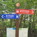 솔마루 이미지