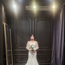 (주)더펫플레이스 | 💍6.빌라드지디 안산 홀패키지 이미지 피팅, 촬영드레스 셀렉 후기