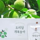 도리담