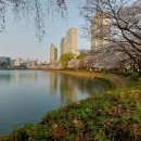 송파나루공원(석촌호수) 이미지
