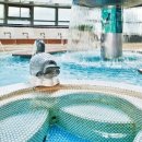 천일(550) 이미지