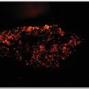 훈이네양념통닭 이미지