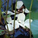 행복만들기 이미지