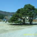 죽장상옥분교 이미지