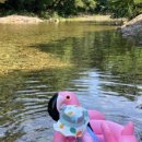 곰바위산장 이미지