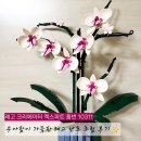 [3분기] 힐링꽃그림(보태니컬) | 레고 난초 조립 후기 / 레고 크리에이터 엑스퍼트 10311 보태니컬 라인(레고꽃)