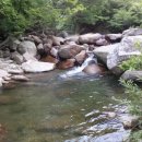 봉산민박 네이버블로그