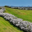 칠갑목장 이미지